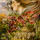 Dscn0001_12.thumb