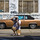 Photo_walk_ny_1888_processed.thumb