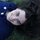Fb_profile_picture.thumb