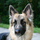 4720558521_9f05a329f8_b.thumb
