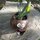 Fb_profile_picture.thumb