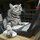 Cat-on-computer.thumb