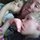 Fb_profile_picture.thumb