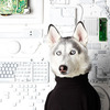 Representing the 1990s, Fernandez styled as the canine companion to Steve Jobs.