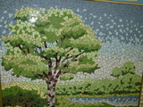 Dsc00044