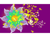 Flower2