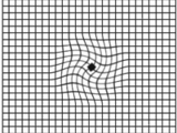 Amslergrid