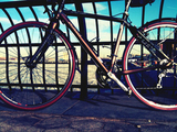 Precious_color_ice1