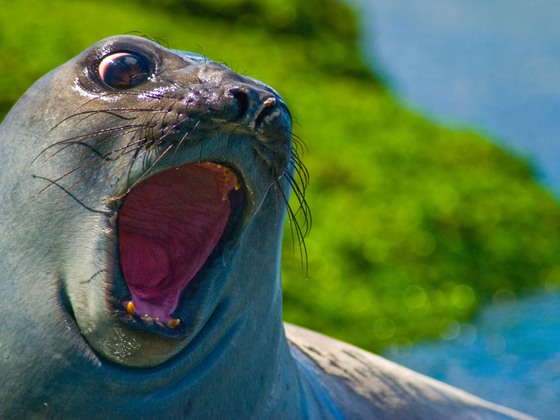 Wip_020809_attitude