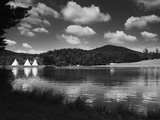 Black_and_white_woodruff
