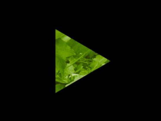 Playagainlogo