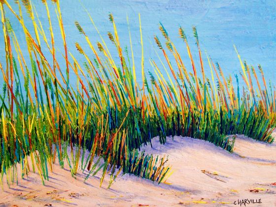 Topsail_dunes