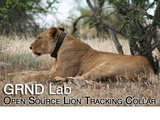 Liontracking2