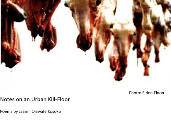 Notes_on_an_urban_kill-floor