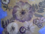 Photo-small