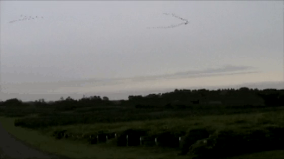 Video-5085-h264_high