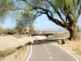Photo-small