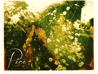 Photo-little