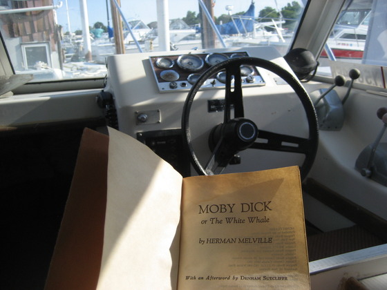 Image-58632-full