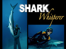 Shark Whisperer