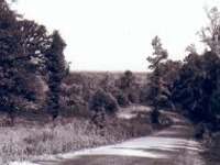 Photo-little