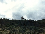 Photo-small