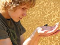 Photo-little