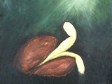 Photo-small