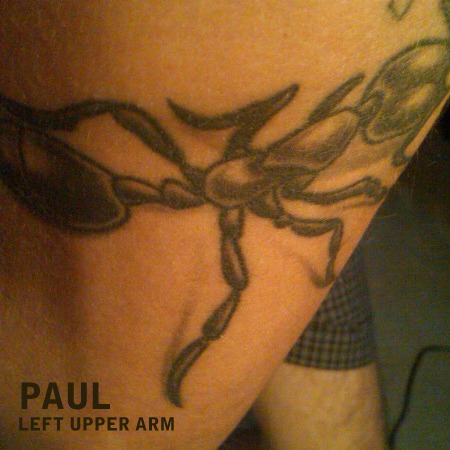 Image-20096-full