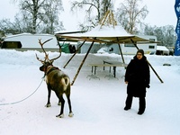 Photo-little