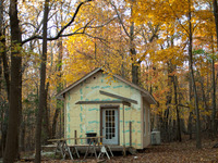 Photo-little