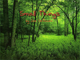 Photo-small