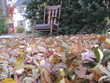 Photo-small