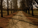 Photo-small