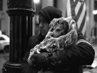 Photo-little