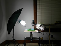 Photo-little