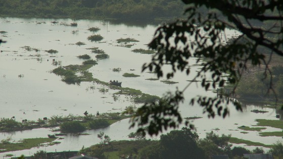 Image-5811-full