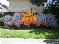 Photo-little