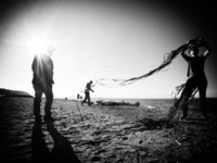 Photo-little