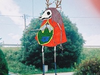 Photo-little