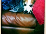 Photo-small
