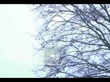 Photo-small