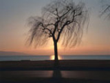 Photo-small