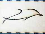 Photo-small