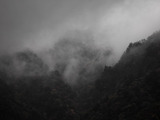 Photo-small
