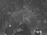 Photo-small