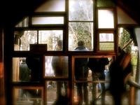 Photo-little