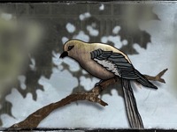 Photo-little