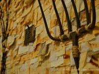 Photo-little