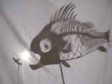 Photo-small